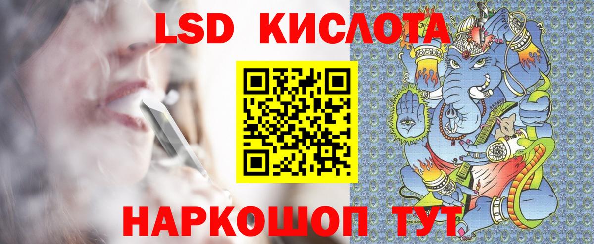 Псилоцибиновые грибы Донской