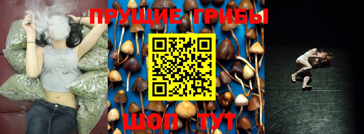 Донской  Галлюциногенные грибы Psilocybine cubensis  Псилоцибиновые грибы Psilocybe  Вход с VPN 