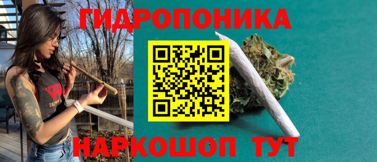 Марихуана гибрид  Канабис конопля  Каннабис семена  Донской  Вход с VPN 